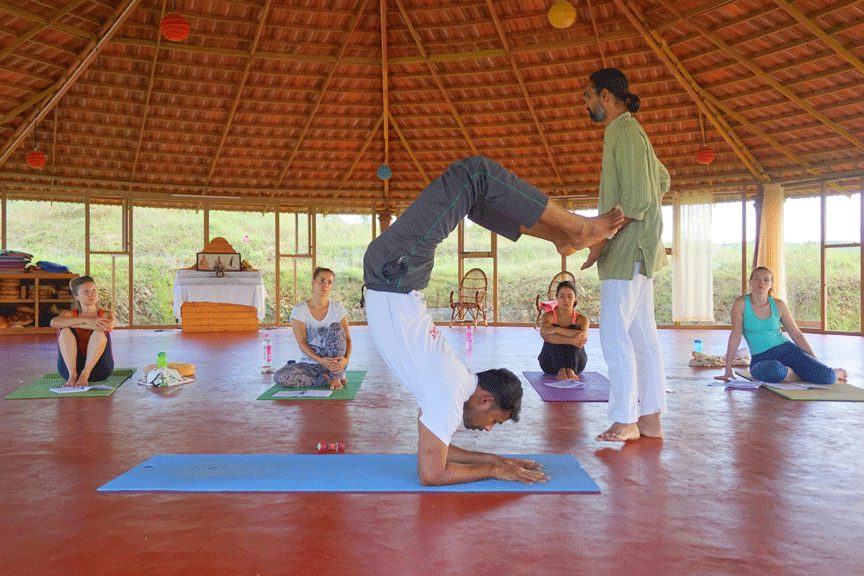learn-yoga-in-india