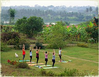 yoga instructor course india